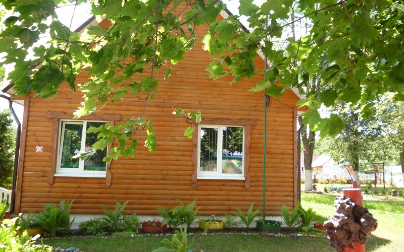 Бронно-Горское лесничество