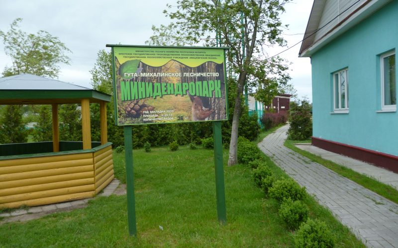 Гута-Михалинское лесничество