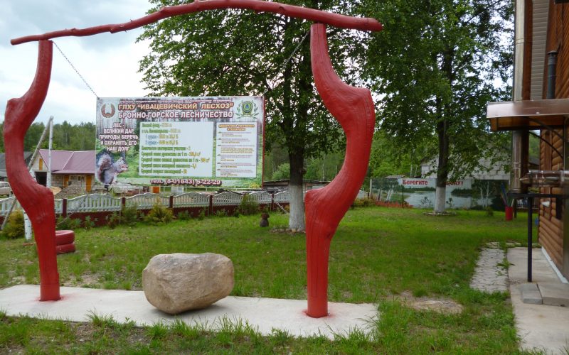 Бронно-Горское лесничество