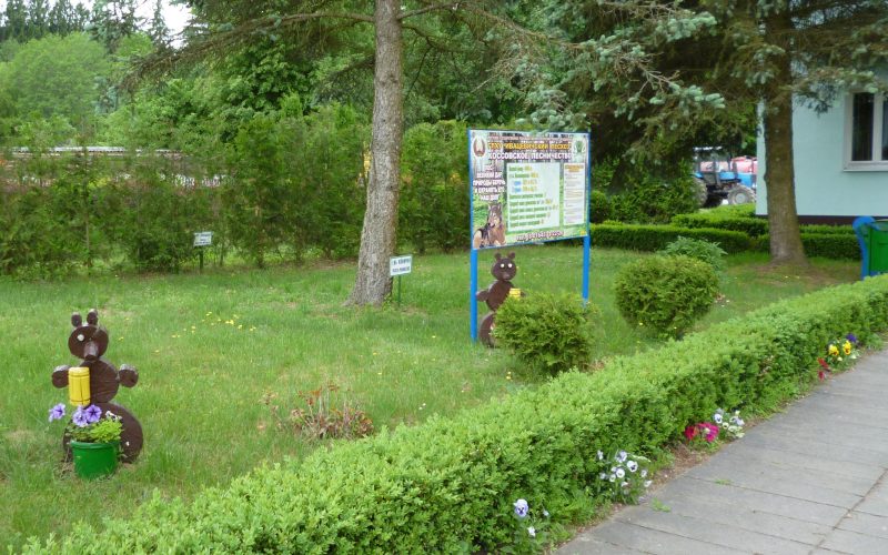 Коссовское лесничество