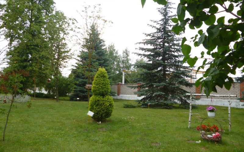 Ивацевичский лесхоз